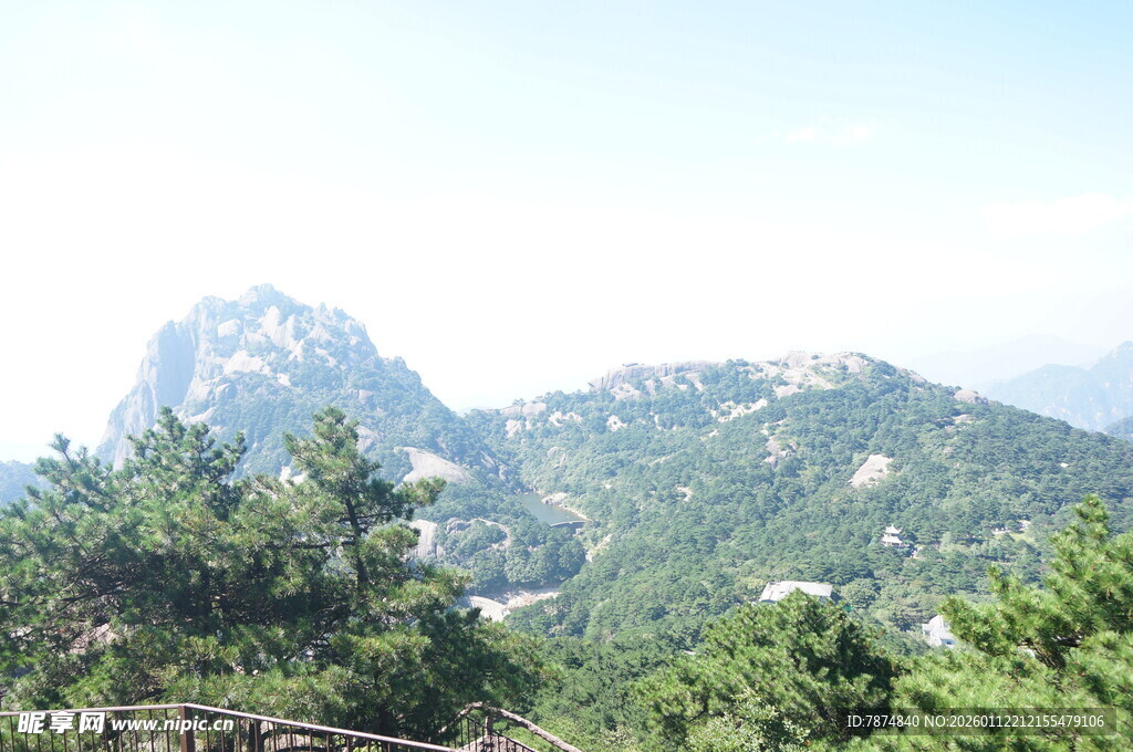 秀丽山景与葱郁林木