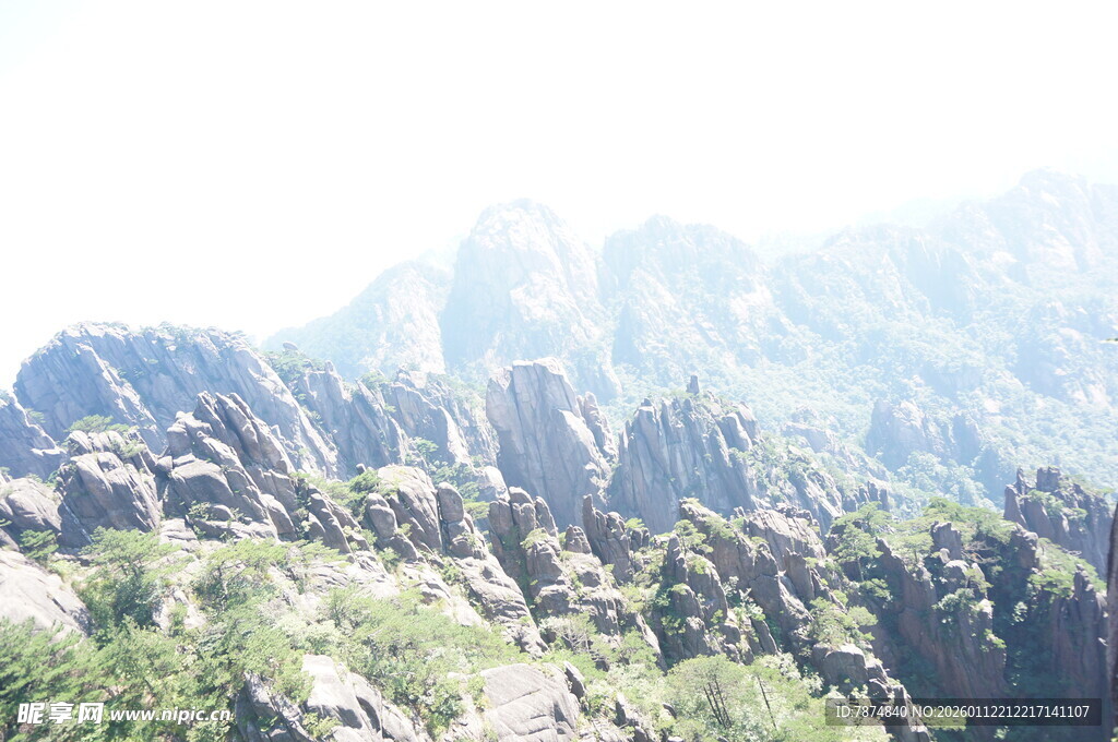 壮丽山景 岩石与绿植交织