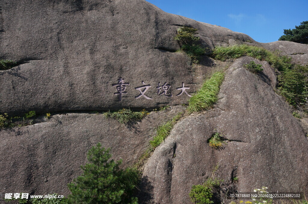 岩石上的绿植景观
