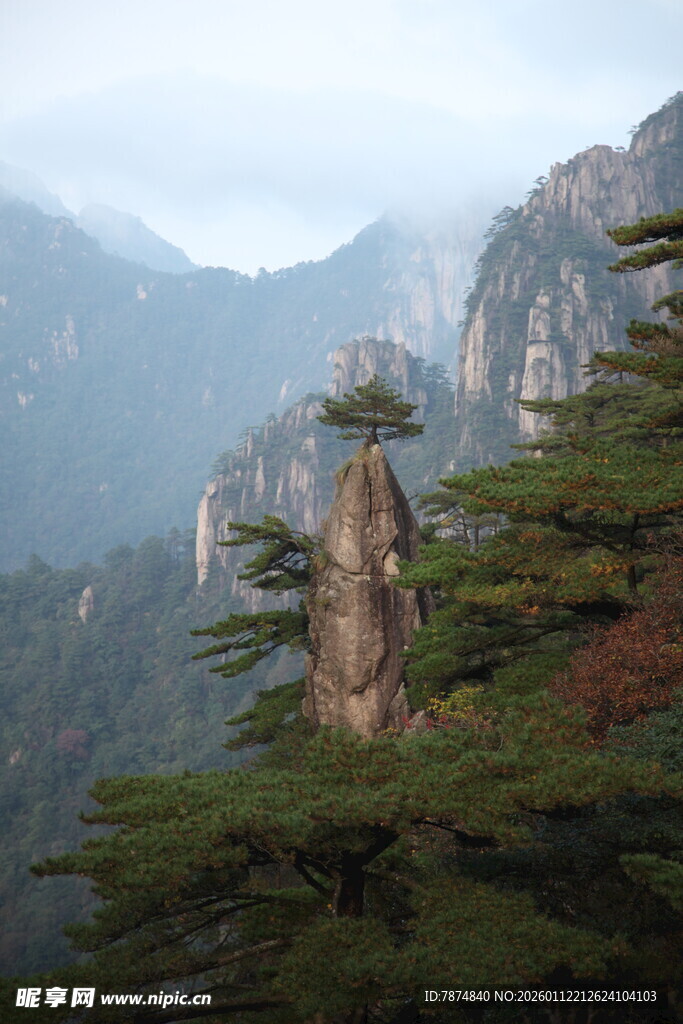 黄山奇峰与苍松景观