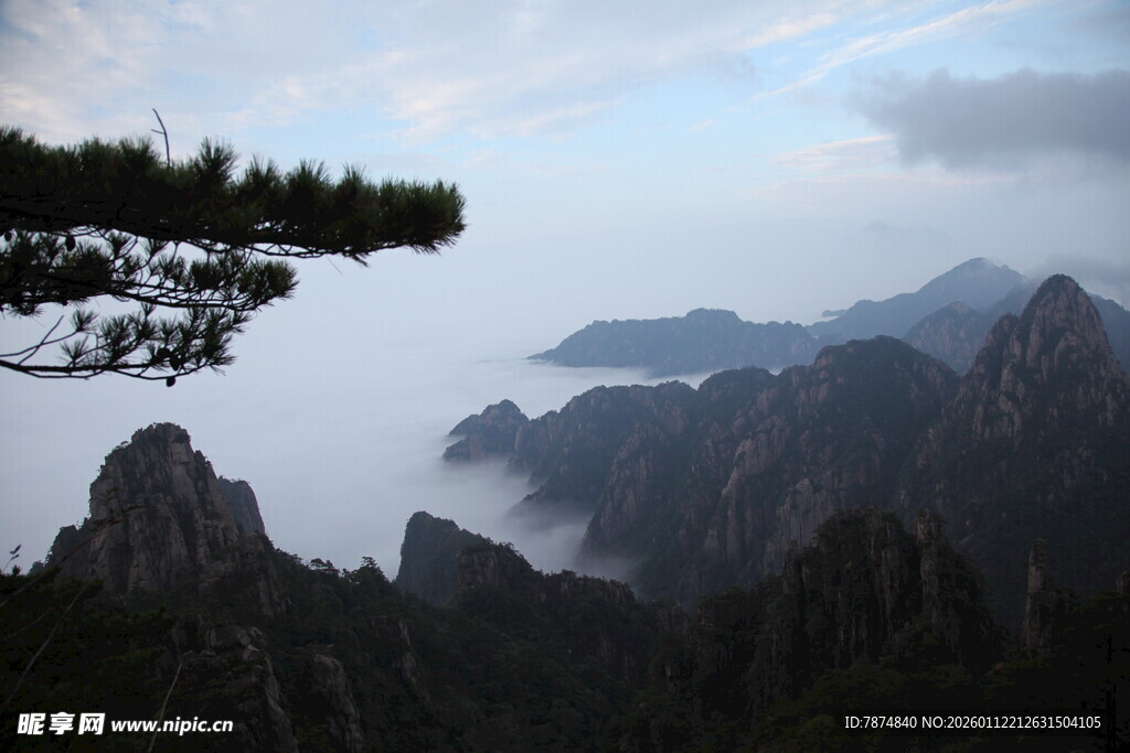 黄山云海中的奇松峻岭
