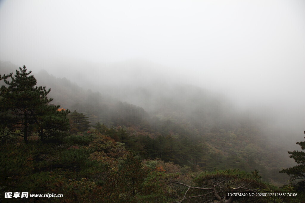 山间云雾缭绕的森林景色