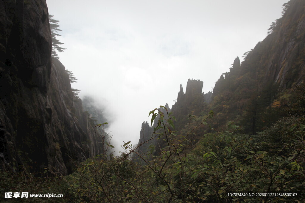 云雾缭绕的山间景致