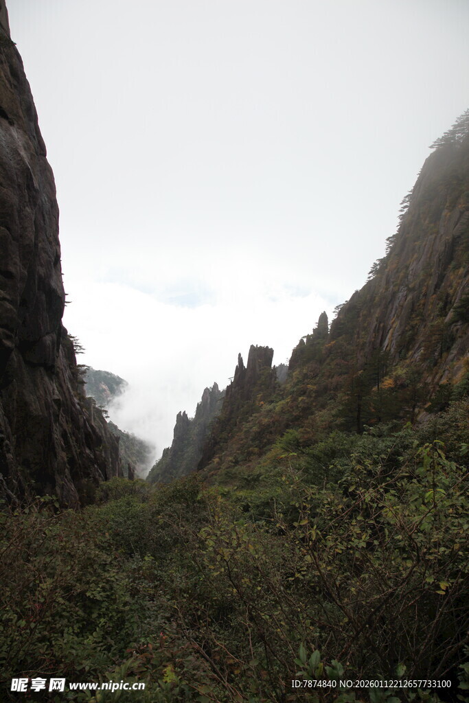 山间云雾缭绕的壮丽景色