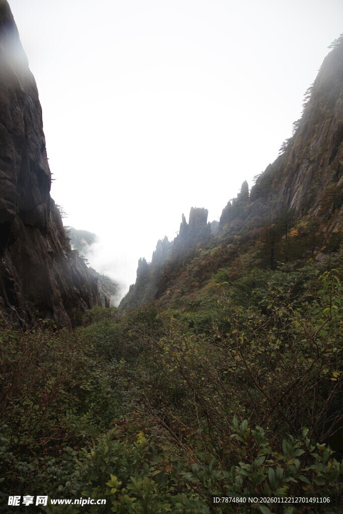 山间绿意盎然的峡谷景色