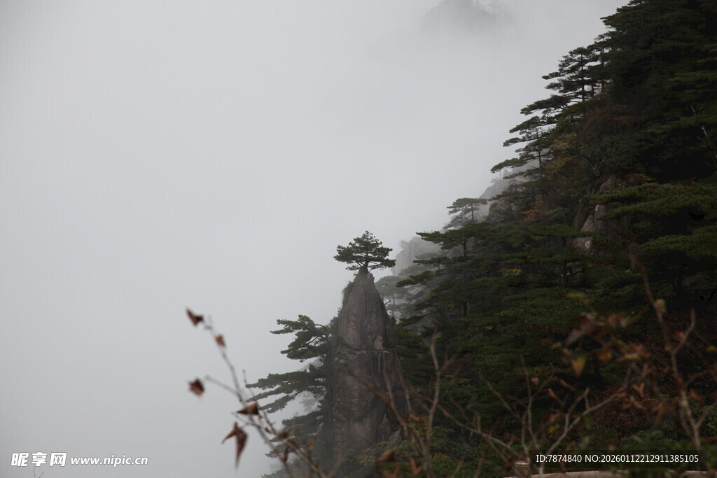云雾缭绕的山林景象