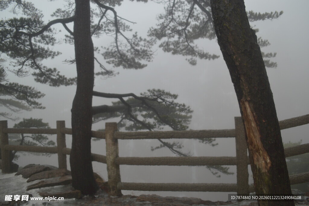 雾中木栏与树木景致