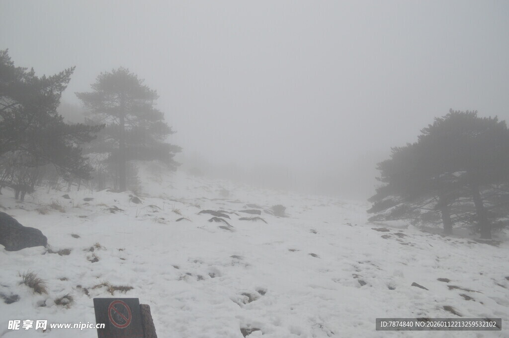 雪后雾中朦胧山林景象