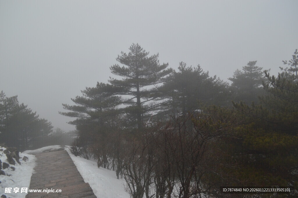 雪后雾中林间小道