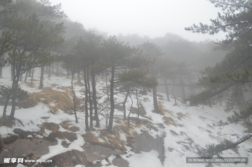雪雾中的山林景观