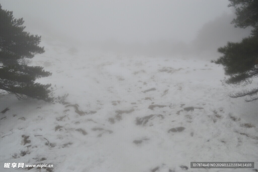 雾中雪景 山林覆雪朦胧美