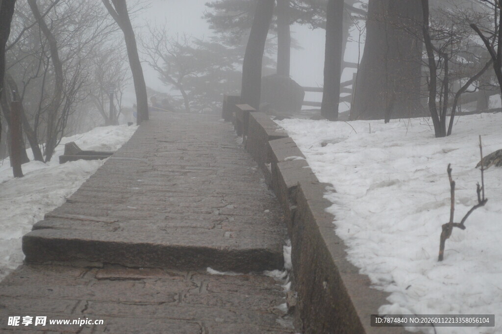 雪后雾中林间步道