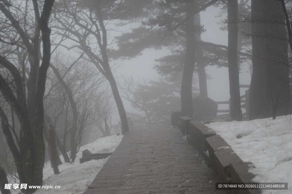 雾中雪径 山林静谧之景