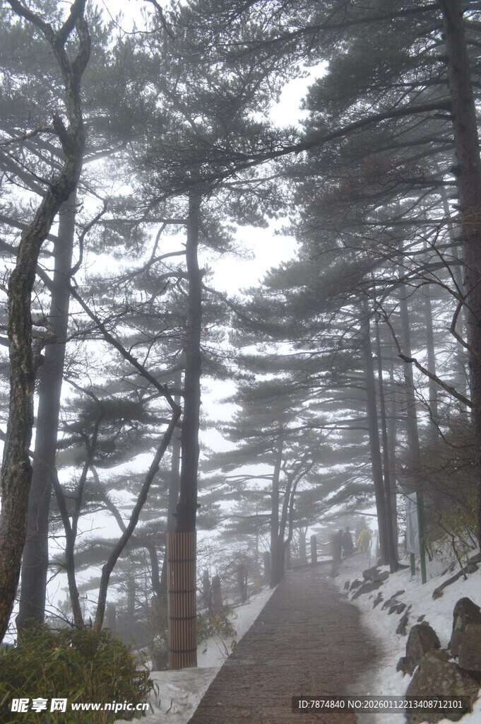 雪后林间小道 静谧雪景