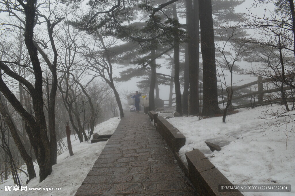 雪后林间小道的静谧景致