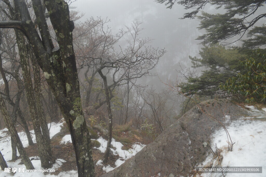 雪覆山林 雾气弥漫之景