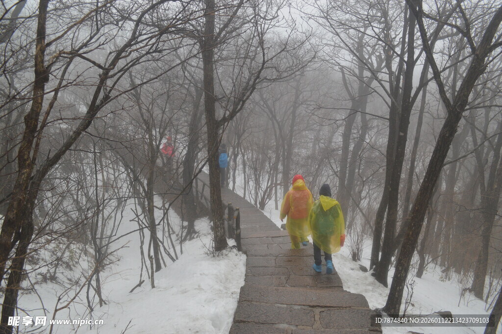 雪天行人漫步林间小道