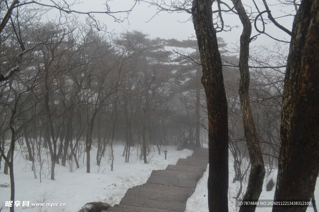 冬日雪覆林间小道