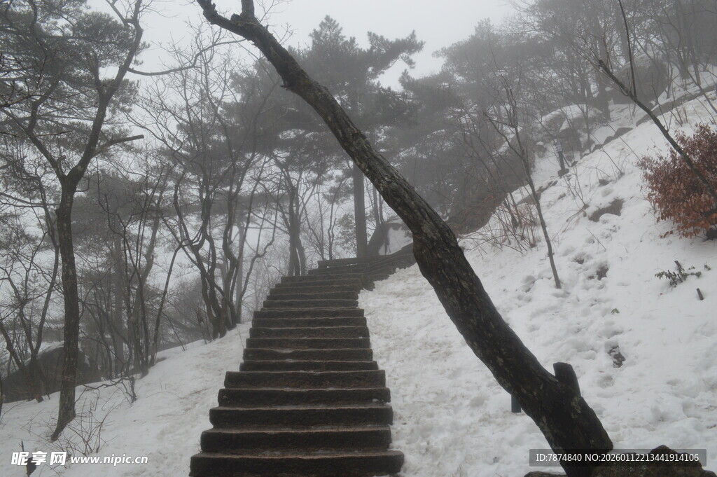 雪中山间石阶 孤枝挺立