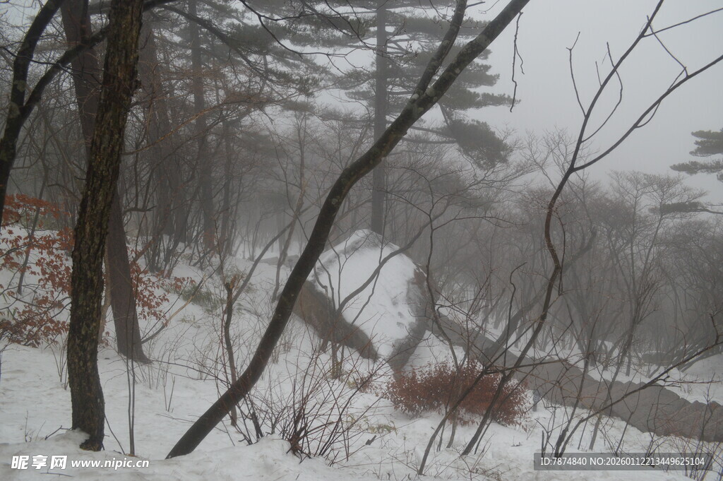 雪覆山林景象