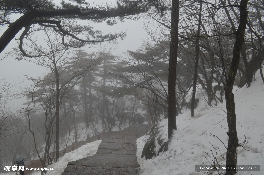 雪覆山林间的幽静小道