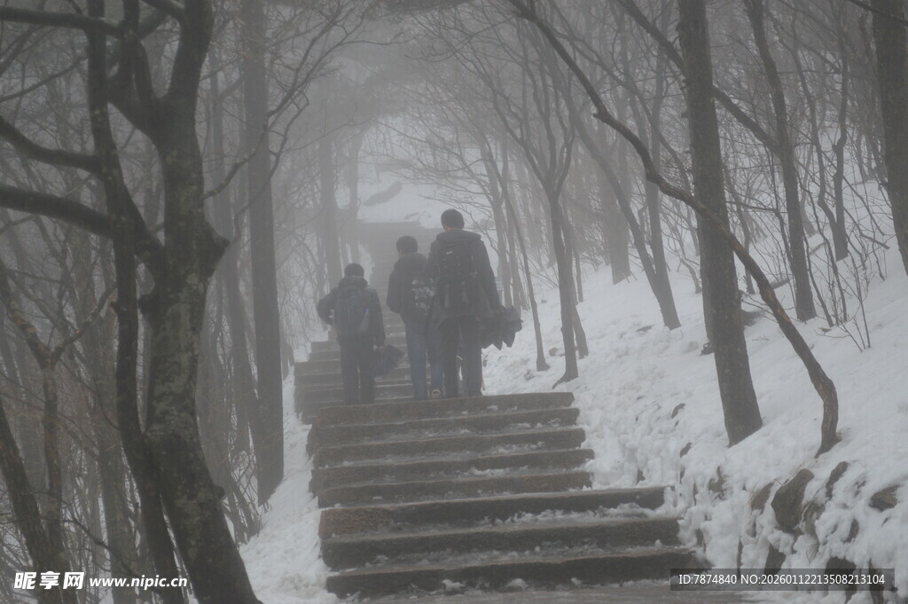 雪后林间漫步的行人