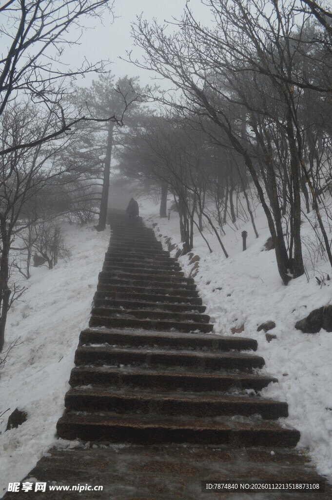 雪覆石阶 山林雾霭景致