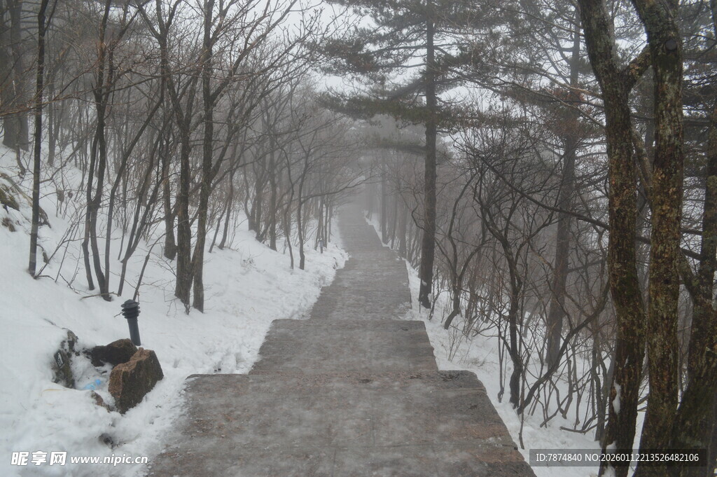 雪覆林间小道 静谧美景