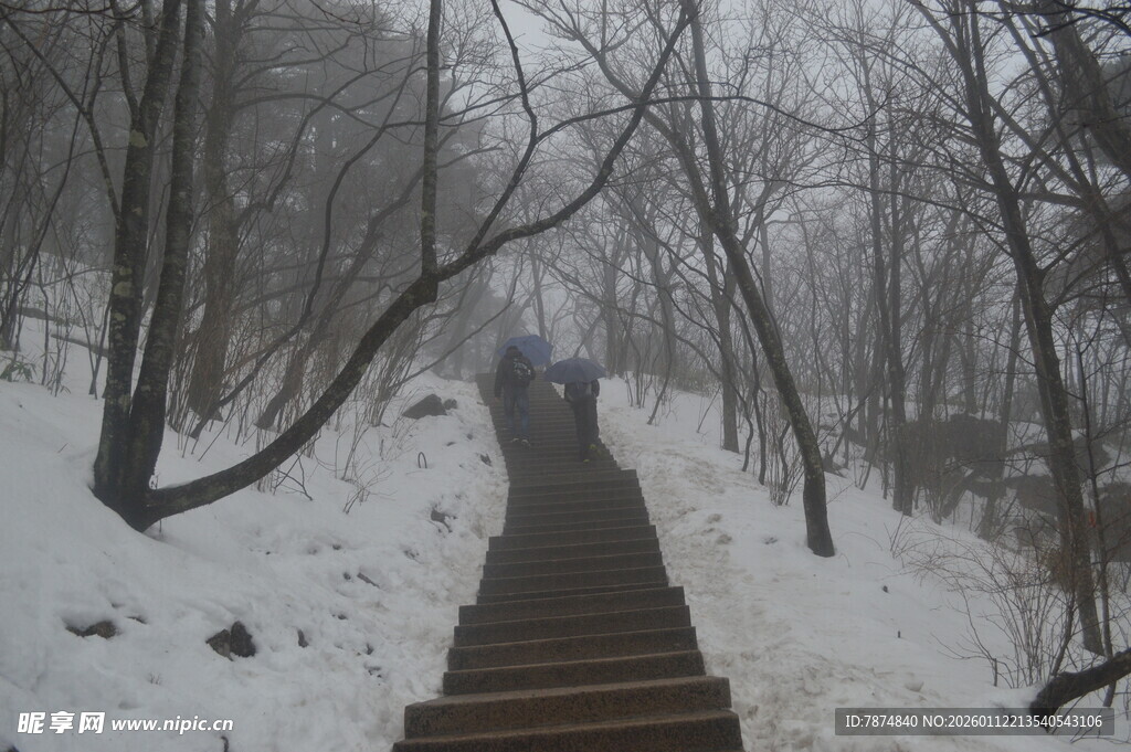 雪中山间步道 静谧之景