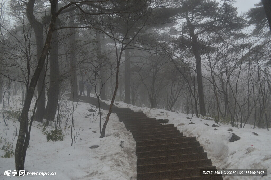 雪覆林间步道 静谧之景