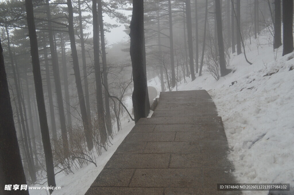 雪覆林间小径 静谧雪景