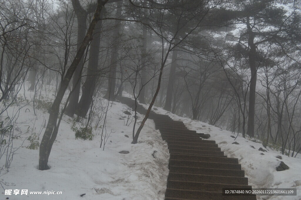 雪覆山林中的蜿蜒步道