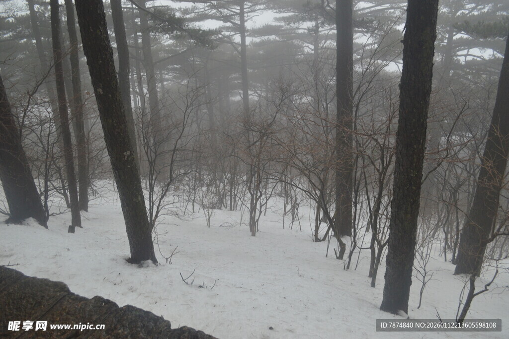 雪覆山林的静谧景致