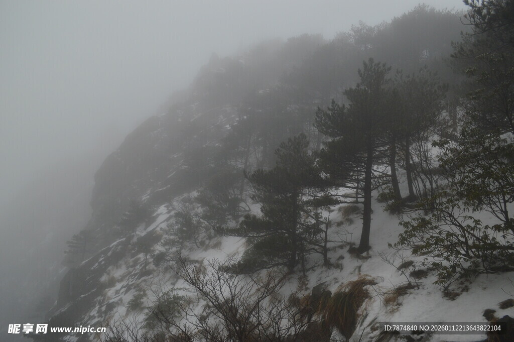 雪覆山峦 雾中松林景致