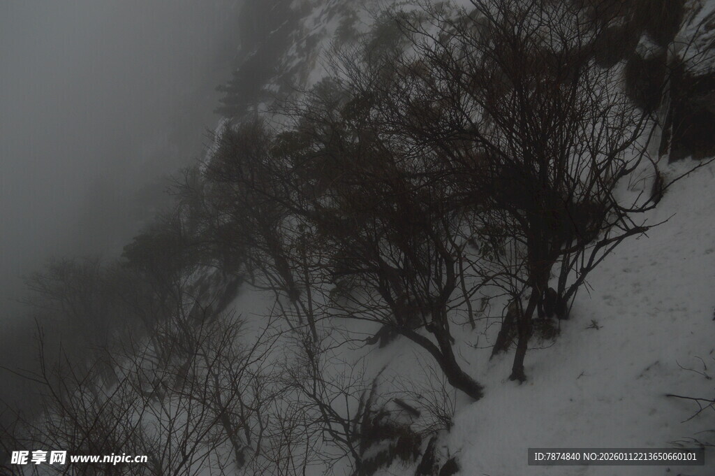 雪覆山林 雾气弥漫之景
