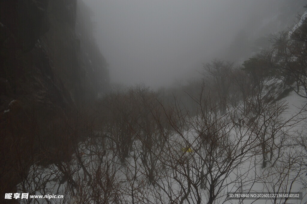 雾中雪覆山林景象