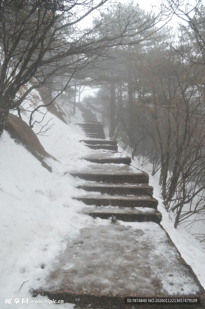 雪覆石阶 冬日静谧景致