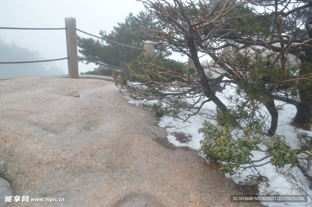 山间雪景中的岩石与树木