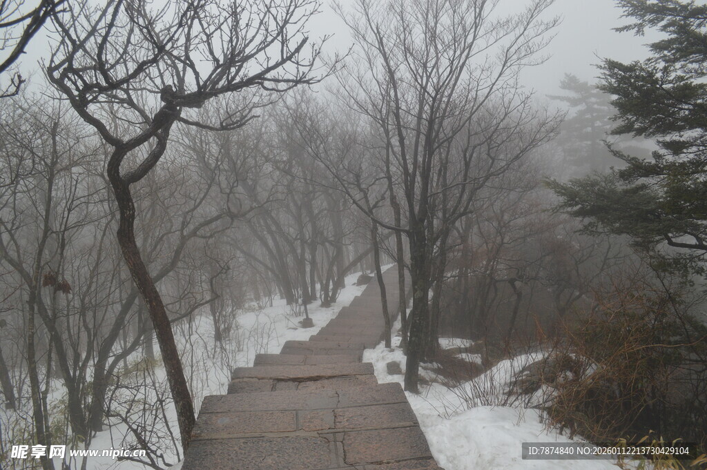 雪后林间小道 静谧雪景