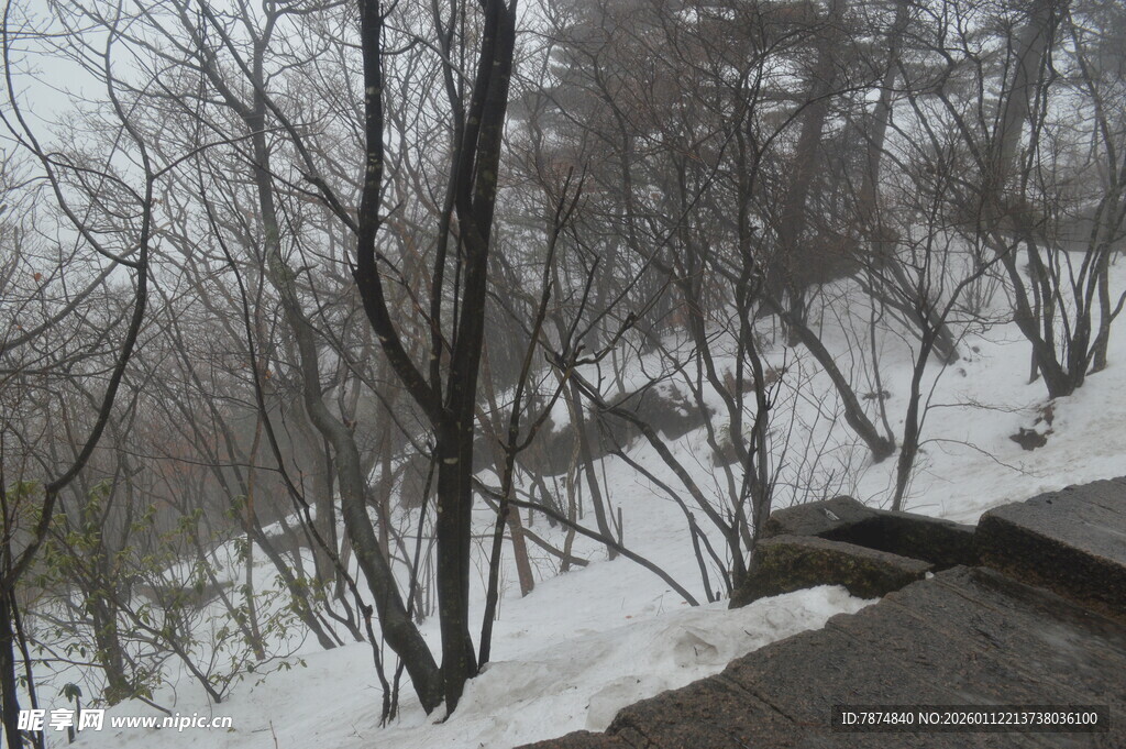 雪覆山林景象