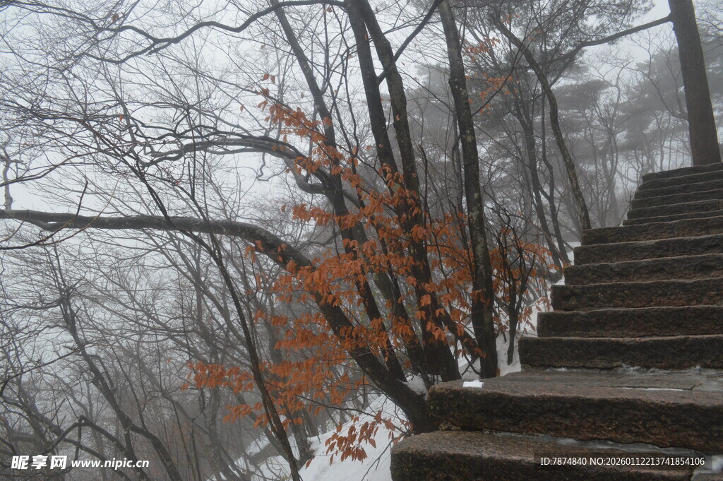 雪后山林中的石阶景致