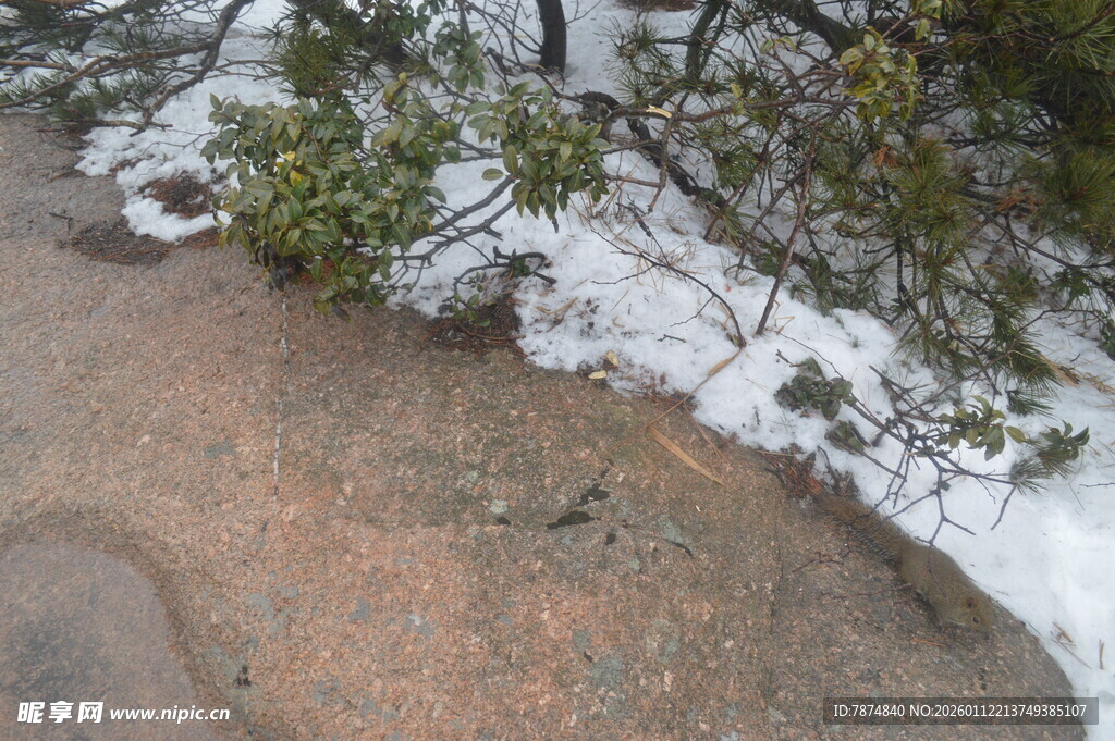 雪地旁的岩石小径