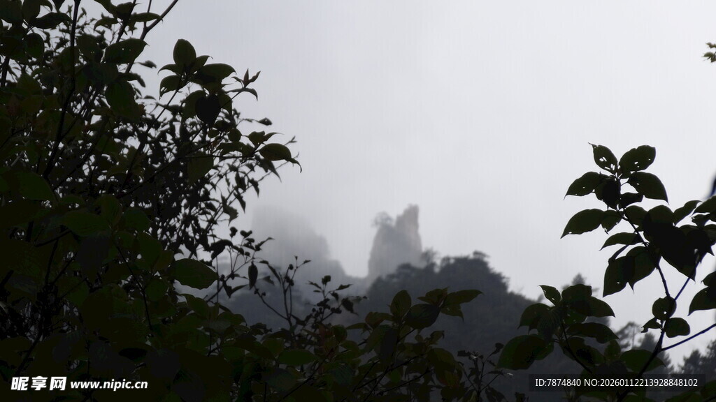 雾中朦胧山林景色