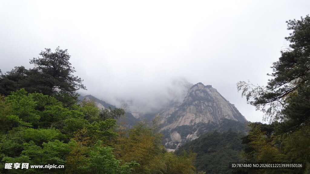 云雾缭绕的葱郁山峰