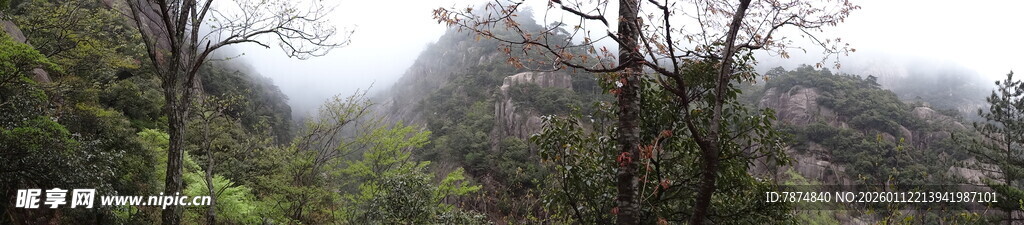 山林云雾间的静谧景致