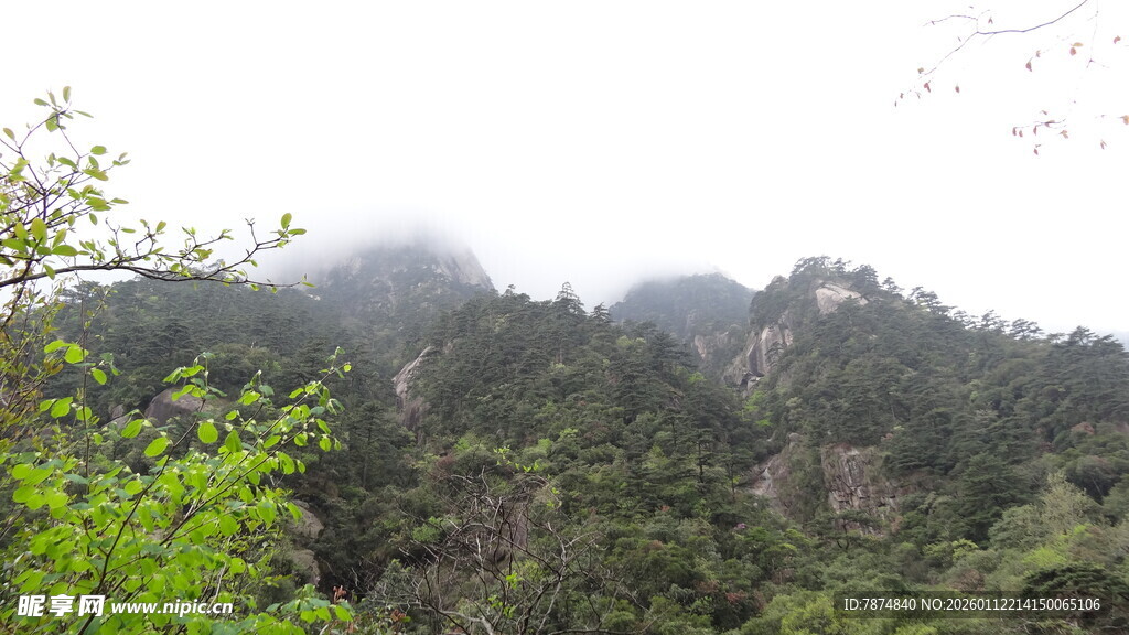 山间云雾缭绕的翠绿景致