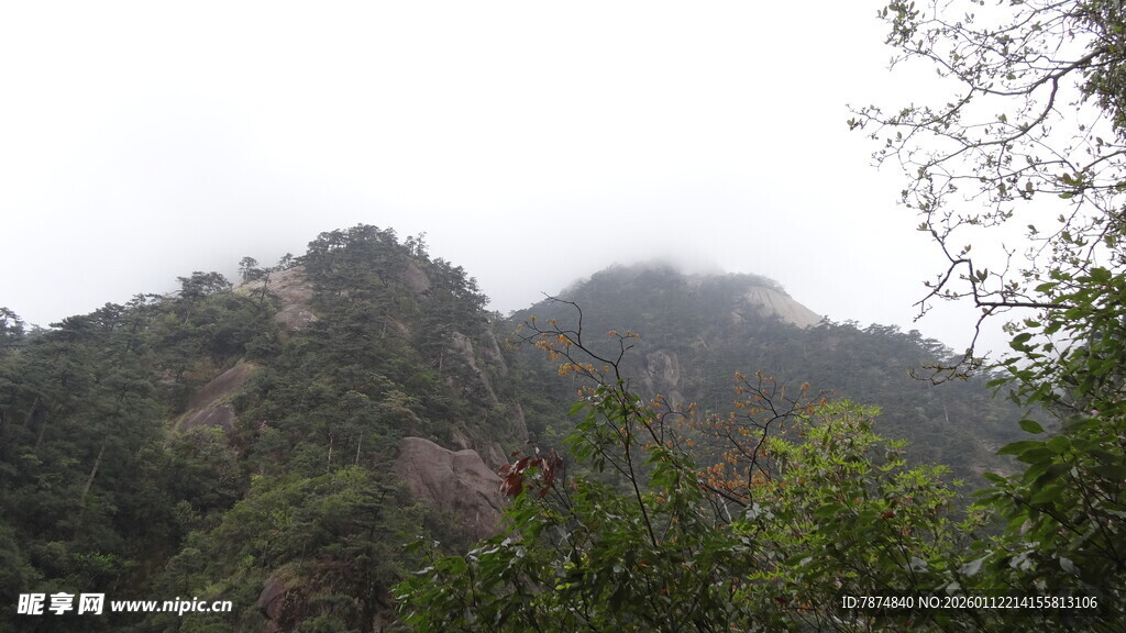云雾缭绕的山林景色