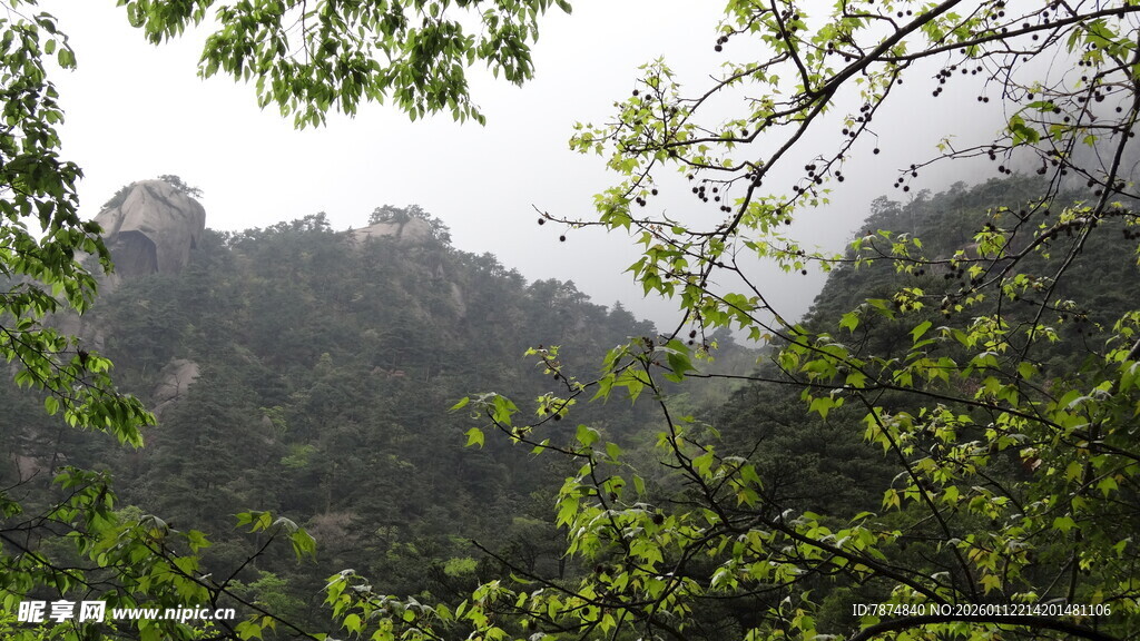 山林间绿意盎然的景致