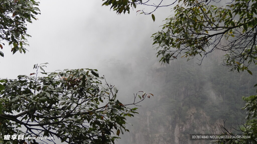 云雾缭绕中的山林景致