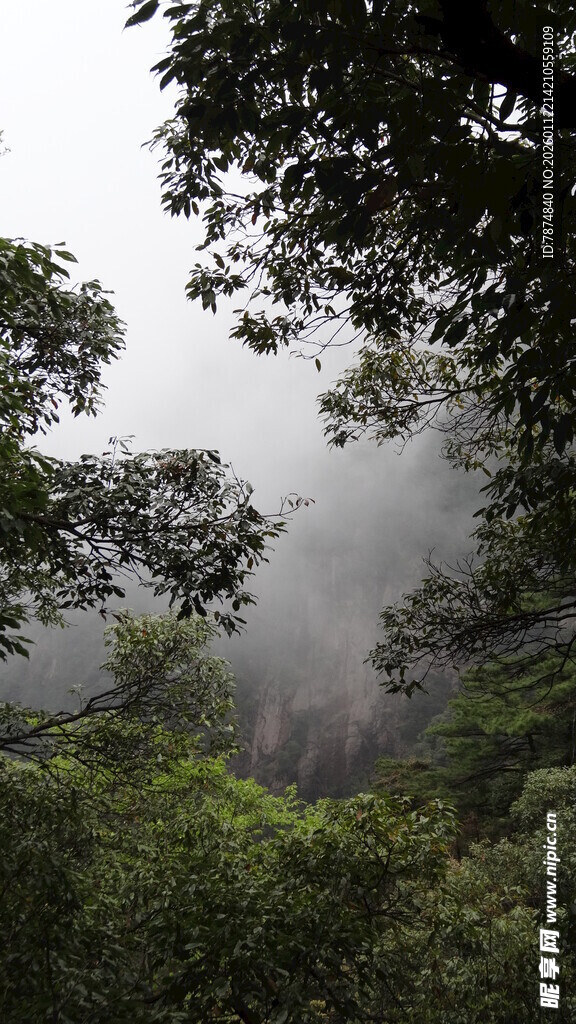 山林云雾间的自然景致